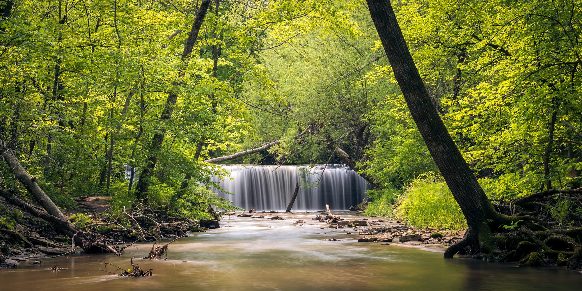 Nerstrand State Park. Photo by Evan Pak.